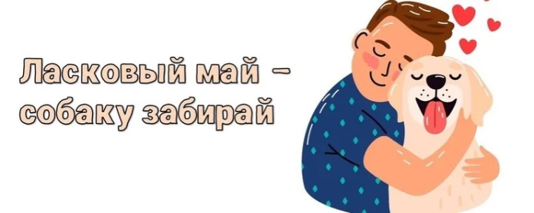 «Ласковый май-собаку забирай».